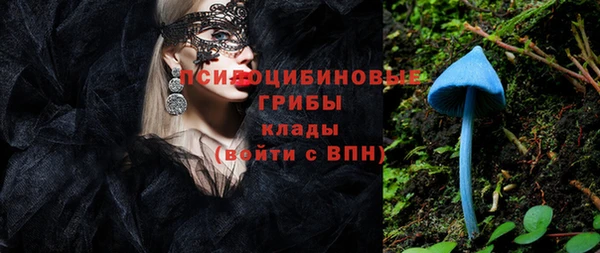 молекула духа Навашино