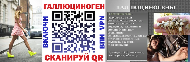 Галлюциногенные грибы Psilocybe Ряжск