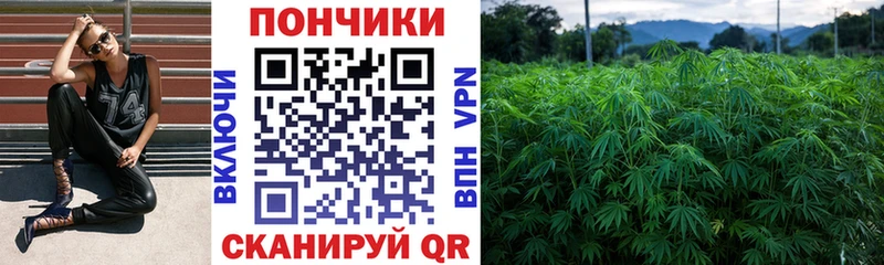 Бошки Шишки сатива  mega зеркало  Ряжск 
